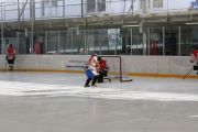 hockeymatch_15_22.jpg