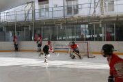 hockeymatch_15_23.jpg
