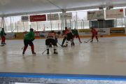 hockeymatch_15_27.jpg