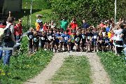 jugendlauf_buelach_11_14.jpg