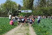 jugendlauf_buelach_11_17.jpg