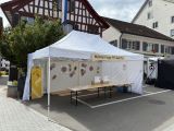 buelifaescht_25_044.jpg